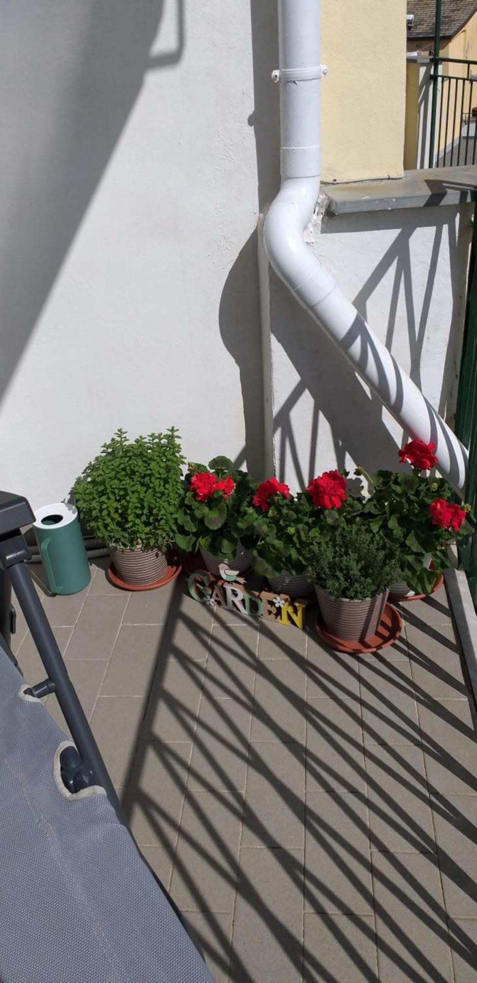 Aa Ciasea Duu Pintuu Apartment *